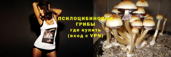mdpv Дмитриев