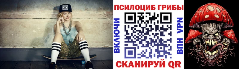 где найти   Щёлково  Галлюциногенные грибы Psilocybe 